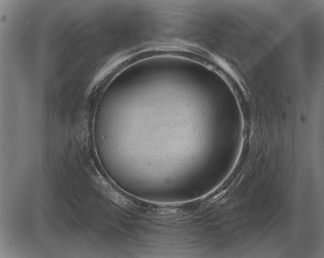 X0000083611456200702201237