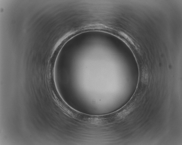 X0000083611458200702201237