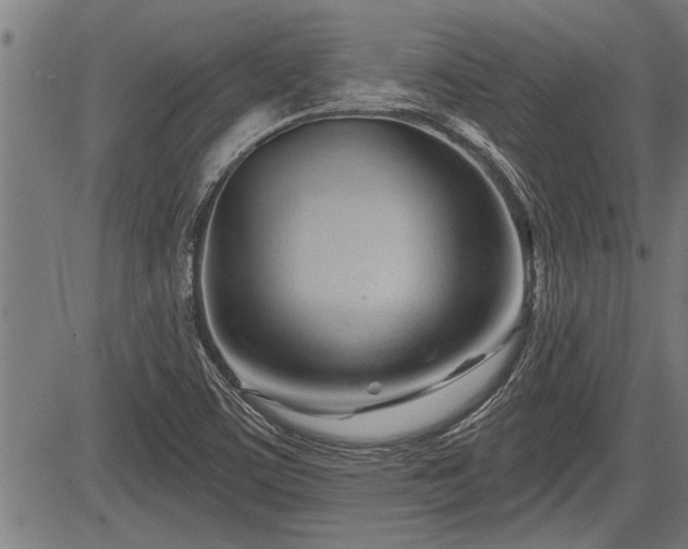 X0000083611459200702201237