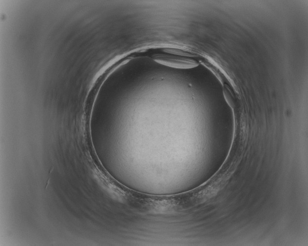 X0000083611460200702201237