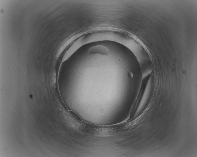 X0000083611461200702201237