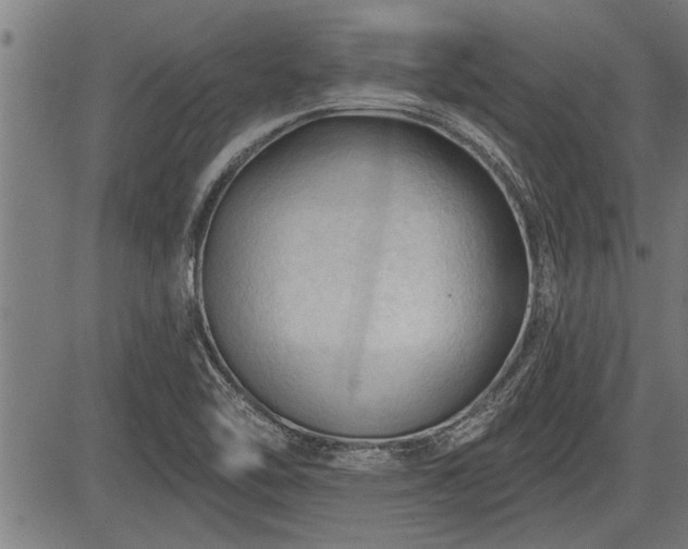 X0000083611462200702201237