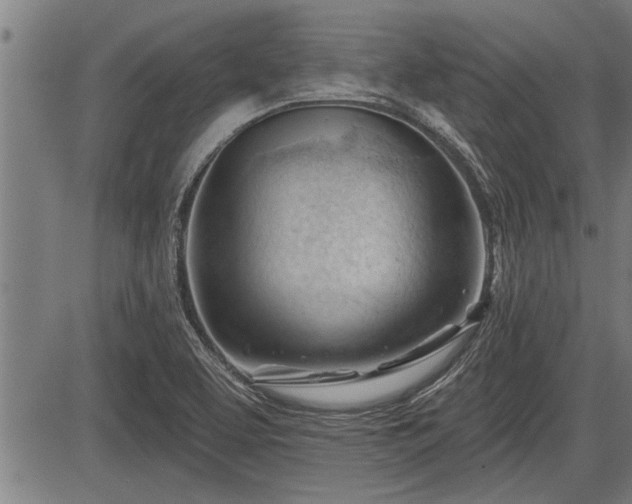 X0000083611463200702201237