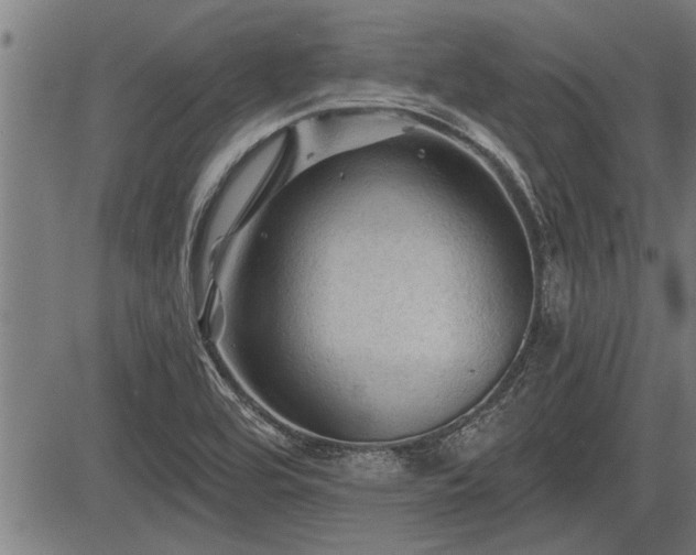 X0000083611464200702201237