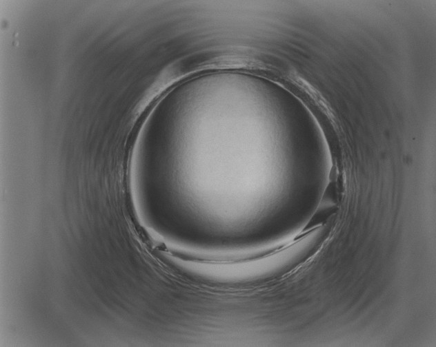 X0000083611465200702201237