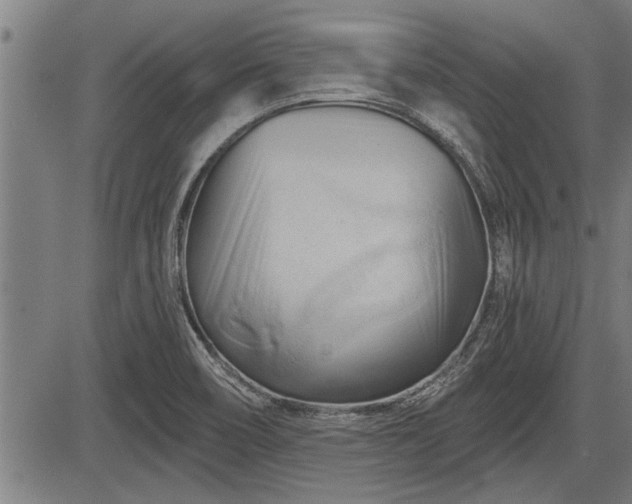 X0000083611466200702201237