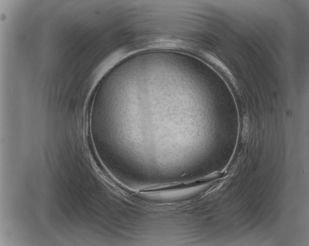 X0000083611467200702201237