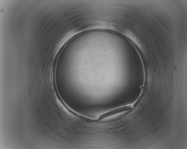 X0000083611468200702201237