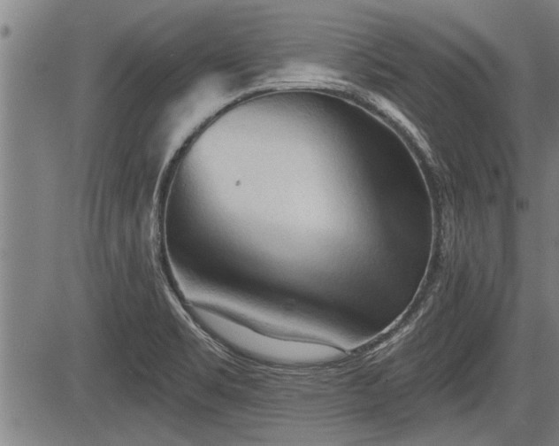 X0000083611469200702201236