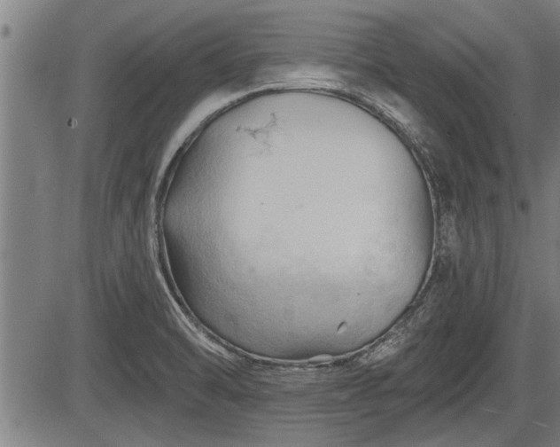 X0000083611470200702201236