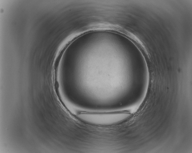 X0000083611472200702201236