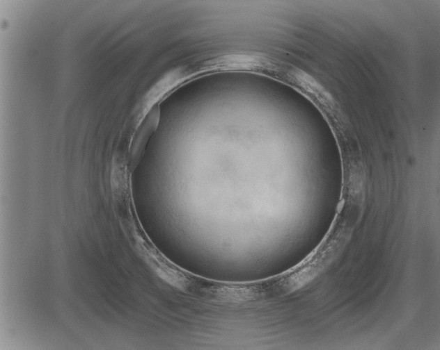 X0000083611473200702201236