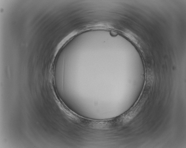 X0000083611474200702201236