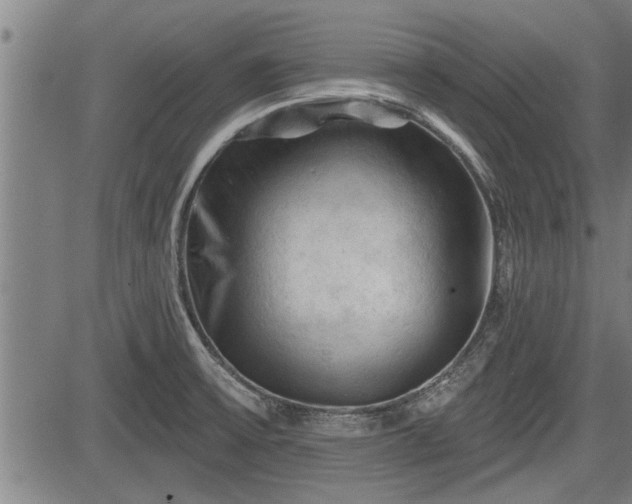 X0000083611475200702201236