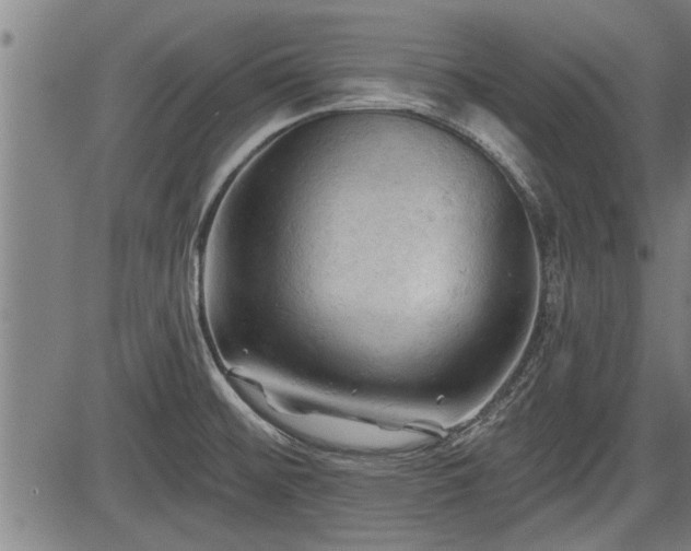 X0000083611476200702201236