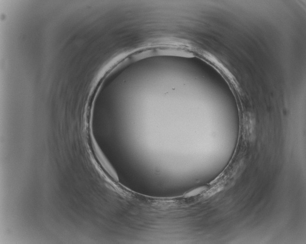 X0000083611477200702201236