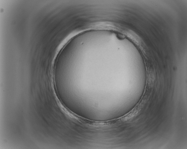 X0000083611478200702201236