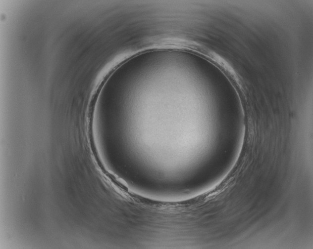 X0000083611480200702201236