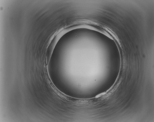 X0000083611481200702201236