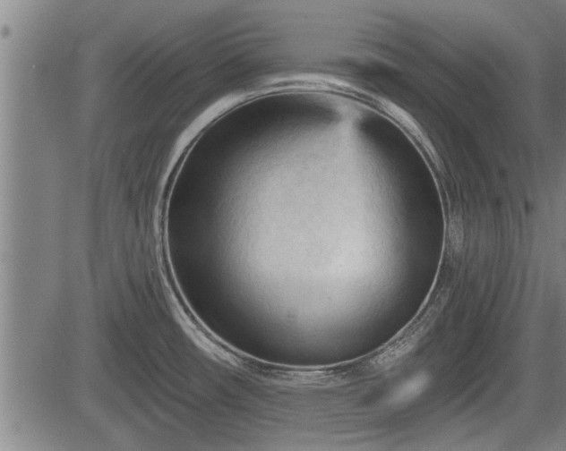 X0000083611482200702201236