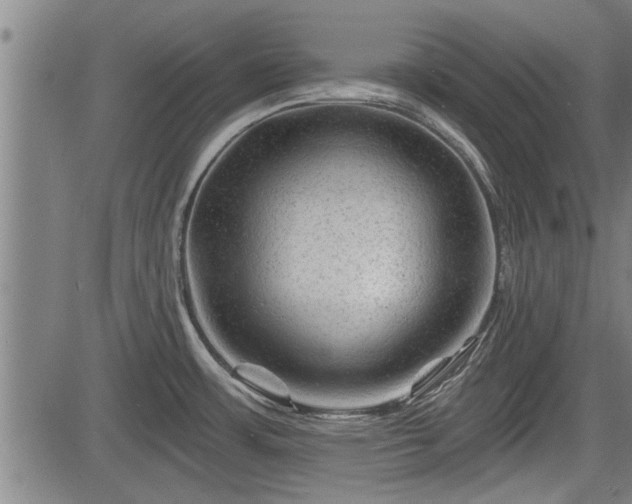 X0000083611483200702201236