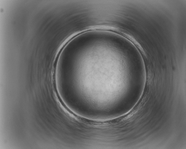 X0000083611484200702201236