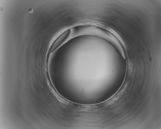 X0000083611485200702201236