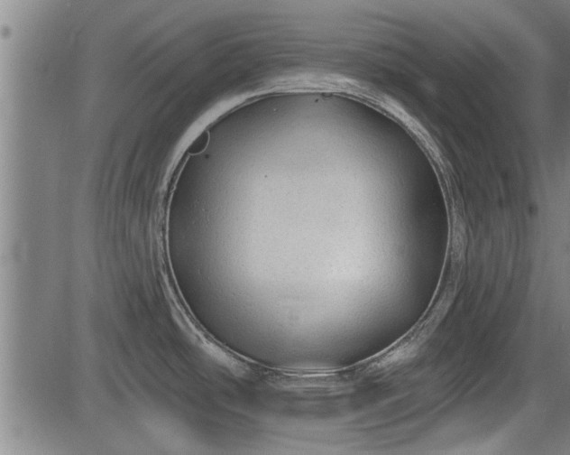 X0000083611486200702201236