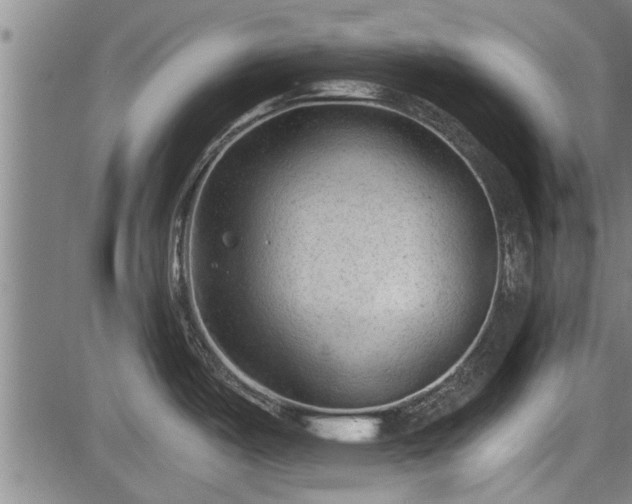 X0000083611487200702201236