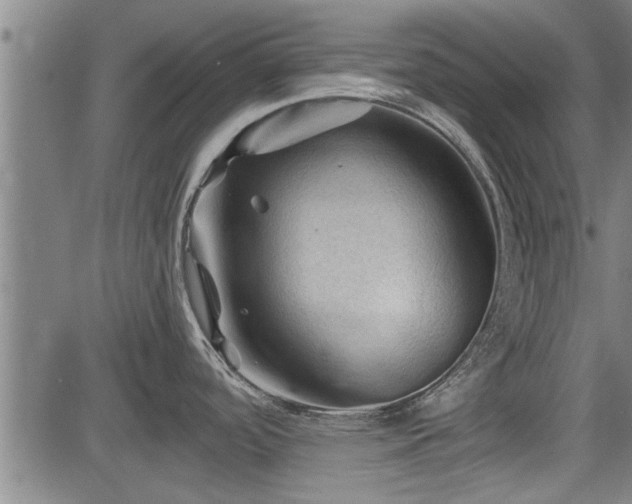 X0000083611488200702201236