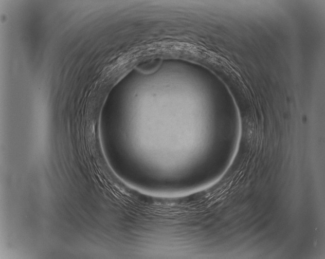 X0000083611489200702201235