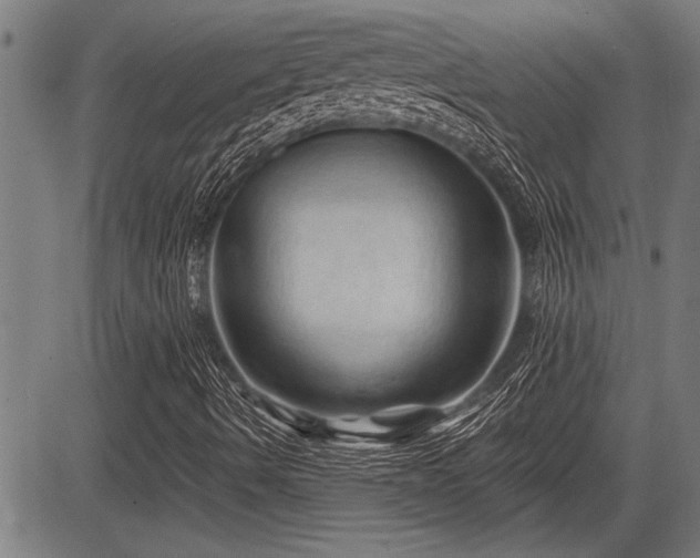 X0000083611490200702201235