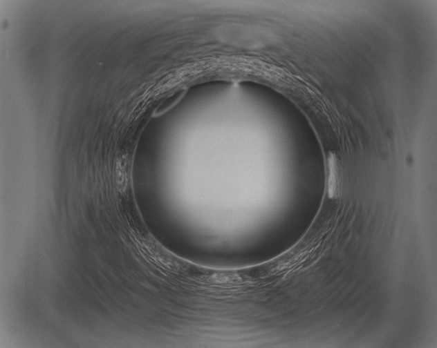 X0000083611491200702201235