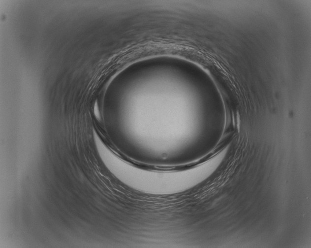 X0000083611492200702201235