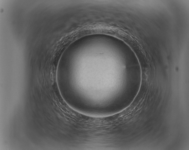 X0000083611493200702201235