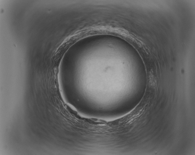 X0000083611494200702201235