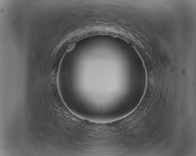 X0000083611495200702201235