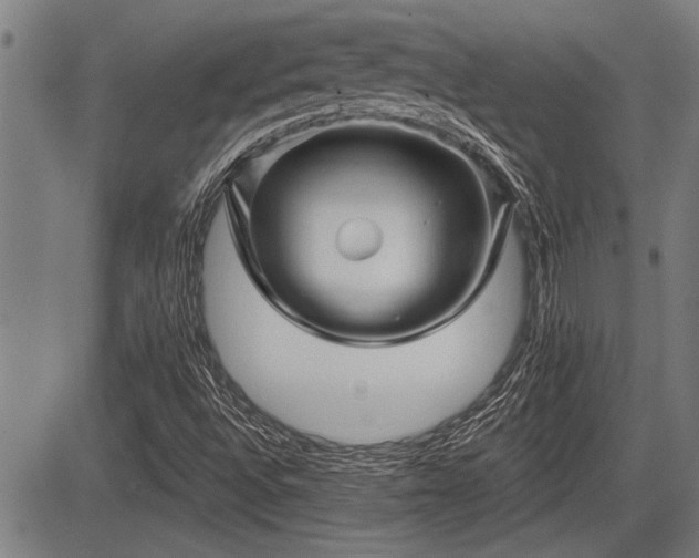 X0000083611496200702201235