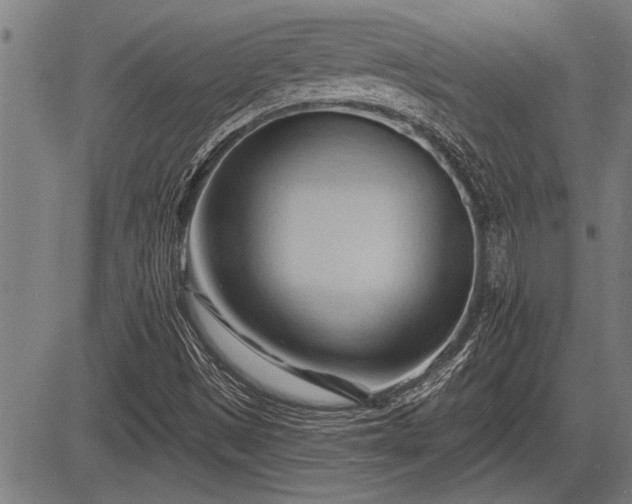 X0000083611497200702201235