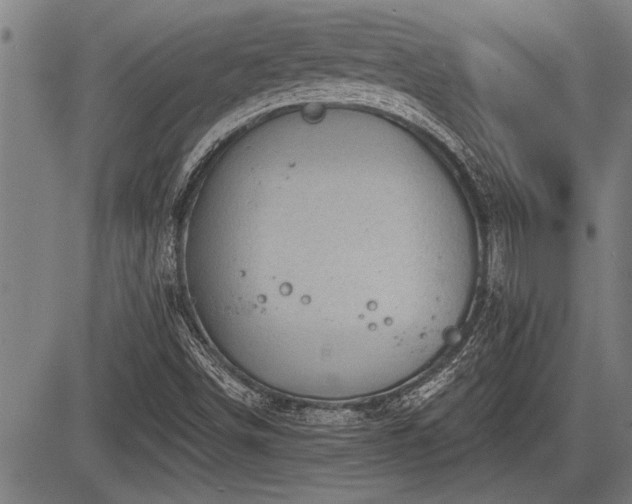 X0000083611498200702201235