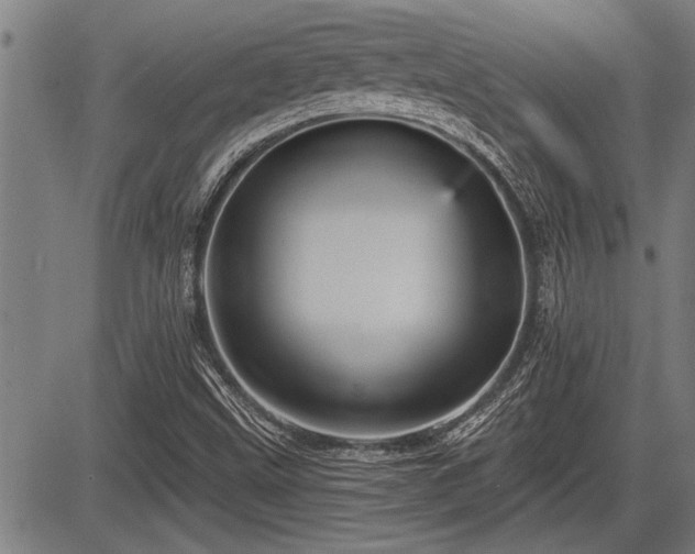 X0000083611499200702201235