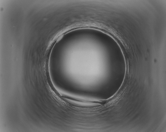 X0000083611500200702201236