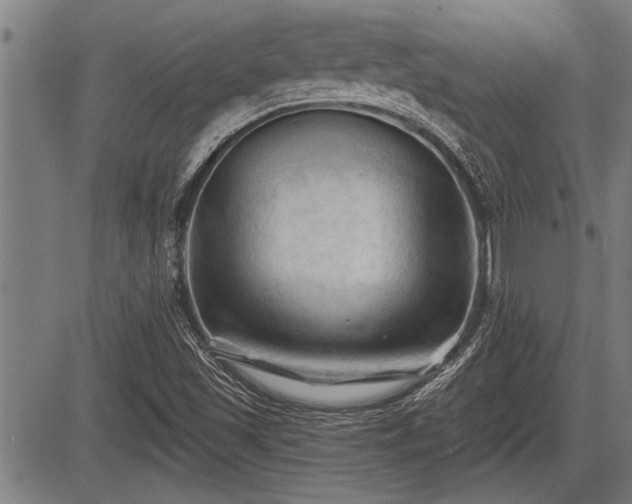 X0000083611501200702201236