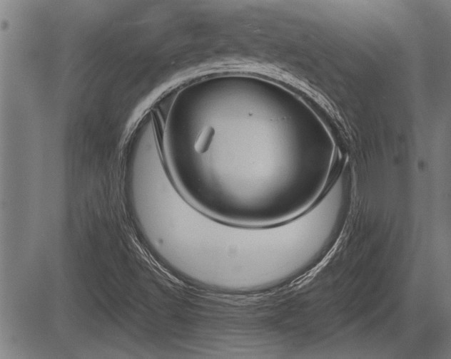 X0000083611502200702201236