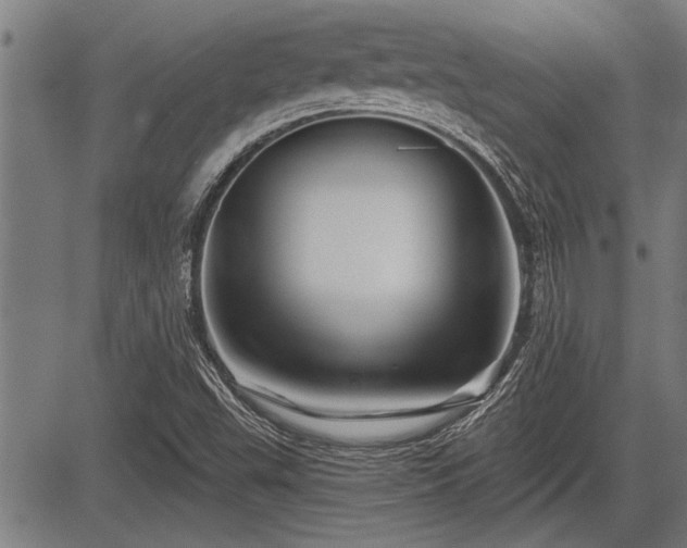 X0000083611503200702201236