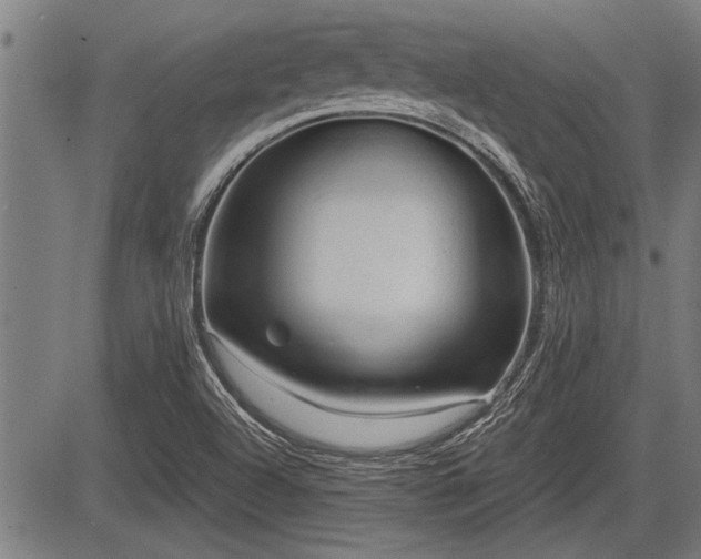 X0000083611504200702201236