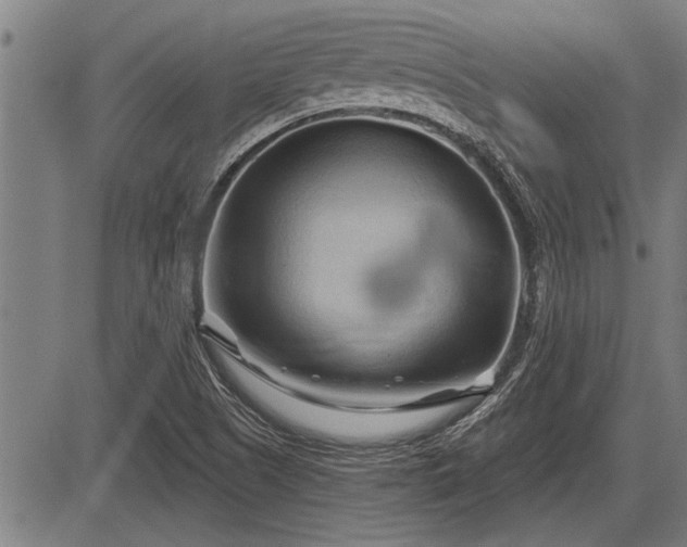 X0000083611505200702201236