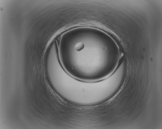 X0000083611506200702201236