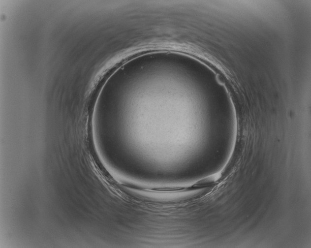 X0000083611507200702201236