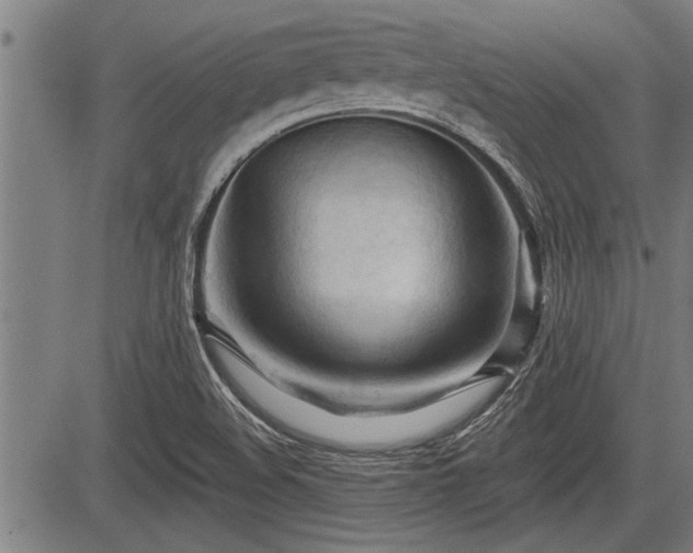 X0000083611508200702201236